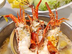 -喜聚薈·花膠雞海鮮火鍋(越秀店)