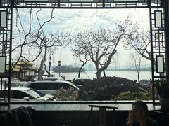 -楼外楼(西湖景区孤山路店)