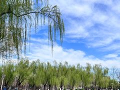 -泰丰公园