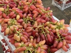 -西郊国际农产品交易中心