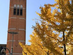 -浙江大学(紫金港校区)