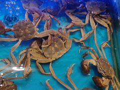 -SEA西雅图海鲜自助餐厅(海乐世界店)
