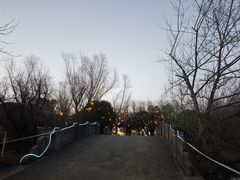 -梁鸿国家湿地公园