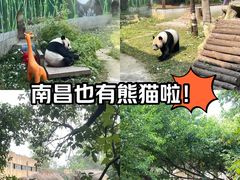 -南昌动物园