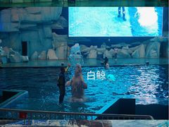 -福州罗源湾海洋世界旅游区