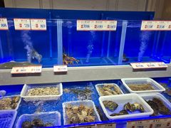 -南山鲜虾面·活鲜小馆·海味大连菜(南山总店)