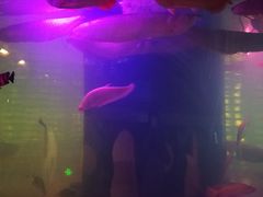 -印象·浅水湾(百乐门大厦店)