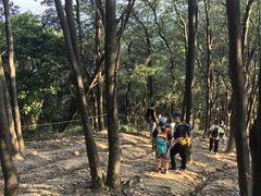 -黄埔油麻山森林公园