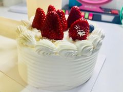 -幸福鸟动物奶油生日蛋糕(军校店)