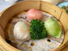 -大中华希尔顿酒店·兰亭潮中餐厅·粤菜