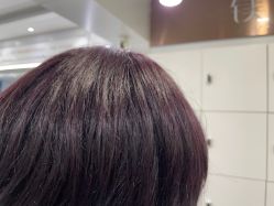 -镁连社·美联社