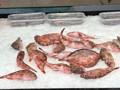 -鸿鑫海鲜楼(建联店)
