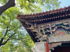 -北京国子监胡同