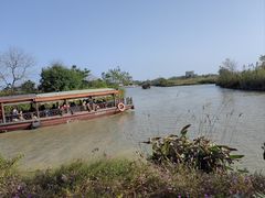-江门古劳水乡旅游区