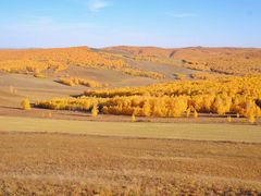 -北极村旅游风景区