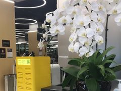 -Z&B Fitness Studio·Gym(前滩L+PLAZA店)