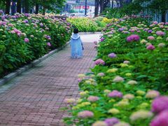 -万达影城(闵行颛桥万达广场杜比影院店)