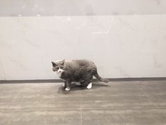 -乐果甜心·潮汕冰室(南澳后宅分店)