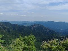 -大岭沟猕猴桃谷风景区