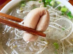 -白家高记肥肠粉(总店)