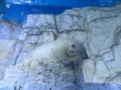 -大连老虎滩海洋公园