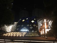 -重庆国际马戏城