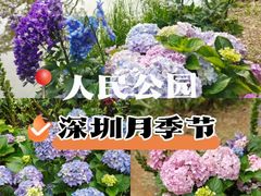 -人民公园(罗湖区)