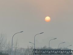 -合肥滨湖国家森林公园