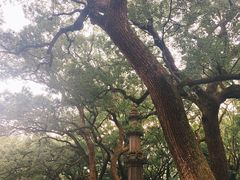 -普陀山风景名胜区-法雨禅寺