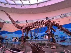 -陕西自然博物馆