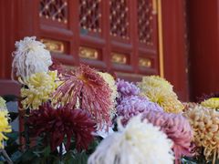 -故宫博物院(故宫)
