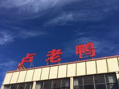 -卢老鸭饭店(楚雄到昆明方向店)