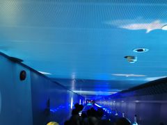 -白鹤梁水下博物馆