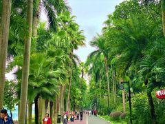 -南宁南湖公园