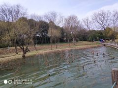 -蠡湖中央公园