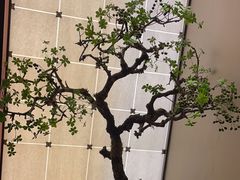 -湘上湘(正大中心总店)