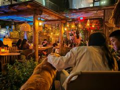 -城墙外BAR