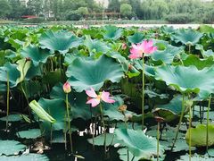 -江南大学(蠡湖校区)