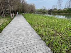 -溱湖国家湿地公园