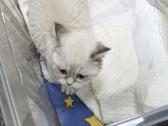 -美联众合动物医院·24h转诊中心