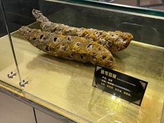 -光德坊中医馆