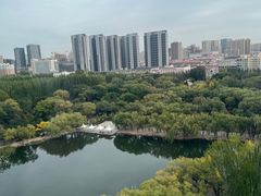 -青城公园