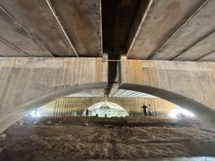 -大亚湾红树林城市湿地公园