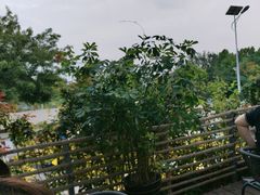 -蘇河湾·新鲁菜·泰山宴(泰山店)
