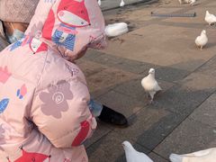 -王府井奥莱棋盘山小镇