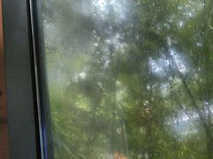 -梅花境(万科店)