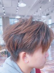 -IDOL-PLUS