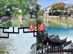-乌镇景区