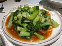 -京城·森鸽排档(双井店)