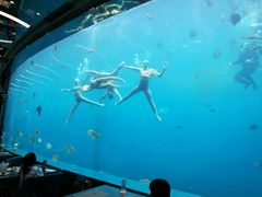 -瑞德姆美人鱼海底演艺主题餐厅(亚龙湾店)
